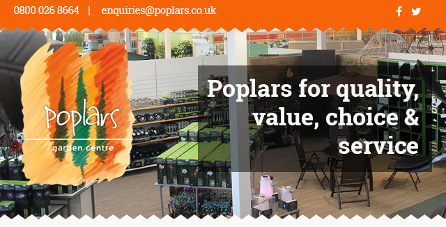 Poplars for quality, value choice & Service